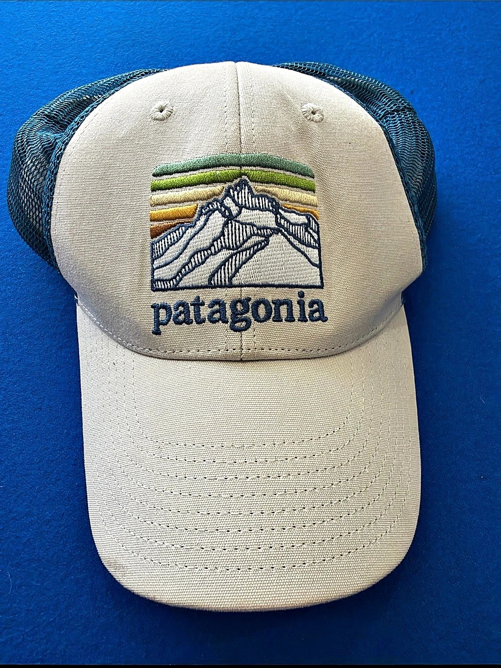 Patagonia Fitz Roy Horizons Trucker Hat White & Blue